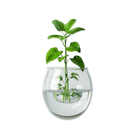 Globasesupply™ Floating Self-Watering Planter - Transparent Double-Layer Minimalist Pot for Modern Greenery