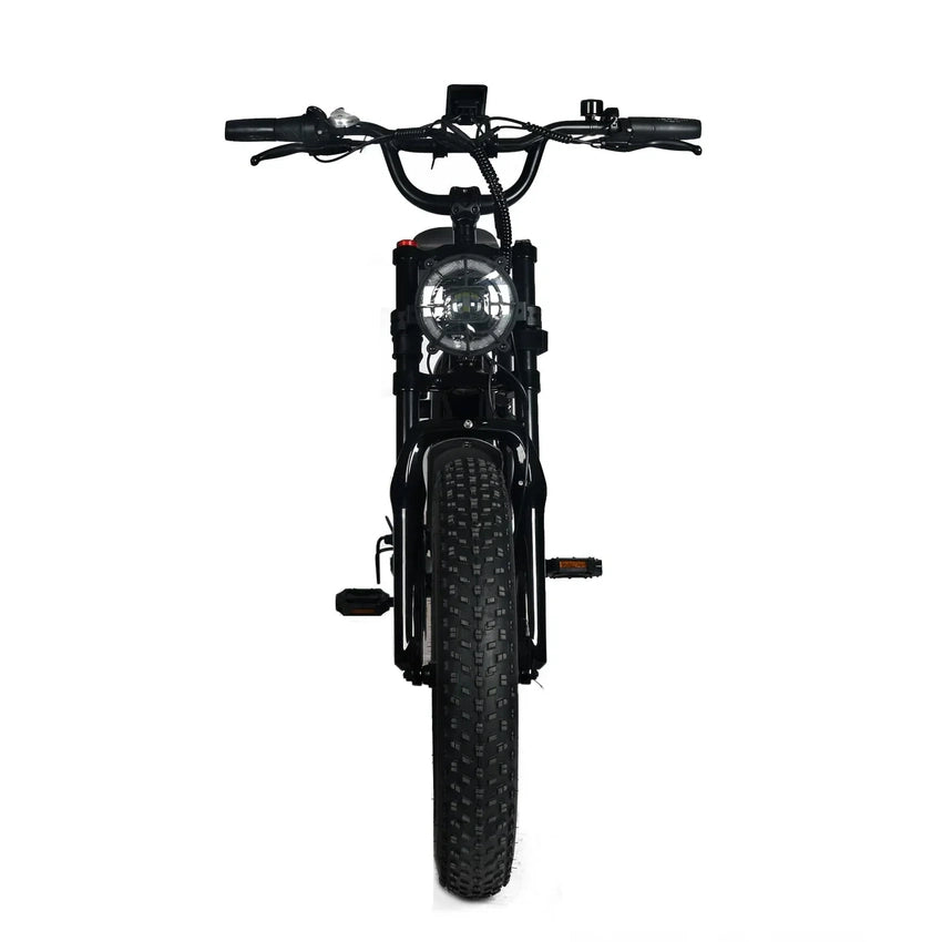 Electric Mountain Bike for Adults | 20 x 4.0 Fat Tires, 1000W Motor, 48V 20Ah Removable Battery, Max Speed 45MPH, Shi Mano 7-Speed for Off-Road Adventures
