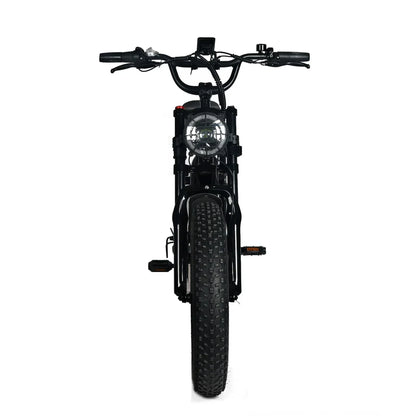Electric Mountain Bike for Adults | 20 x 4.0 Fat Tires, 1000W Motor, 48V 20Ah Removable Battery, Max Speed 45MPH, Shi Mano 7-Speed for Off-Road Adventures
